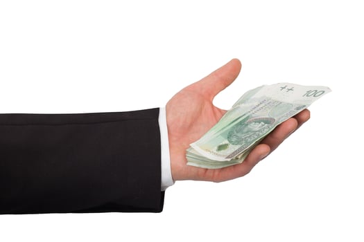 Hand Holding Polish Currency Banknotes Stack photo