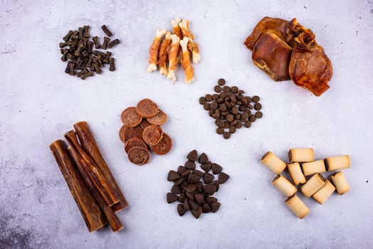 Assortment of different dog treats and snack photo