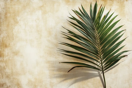 A single palm leaf casting intricate shadows on a textured beige background in soft afternoon light photo