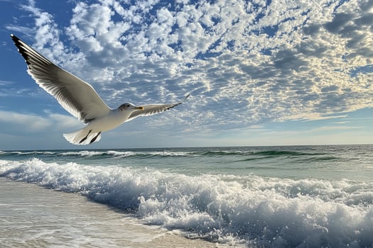 Seagull soaring over gentle waves at a serene beach under a cloudy sky in the afternoon photo