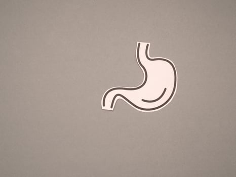 Stomach shape made from pink paper over a gray background photo
