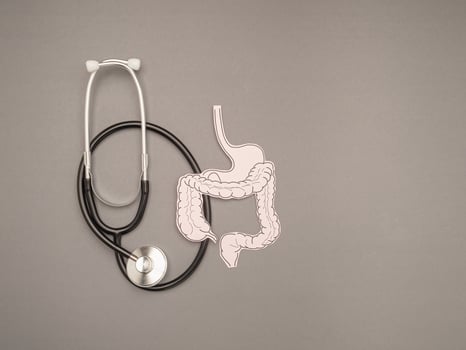 A stethoscope and large intestine shape made from paper over a gray background photo