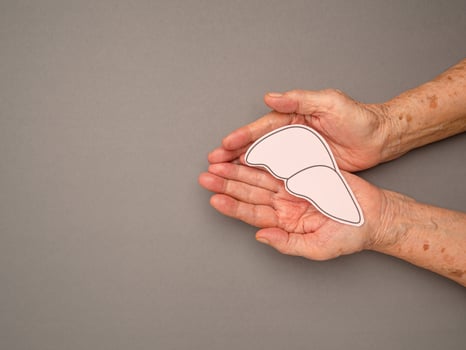 Liver shape made from paper on a palm senior woman over a gray background photo