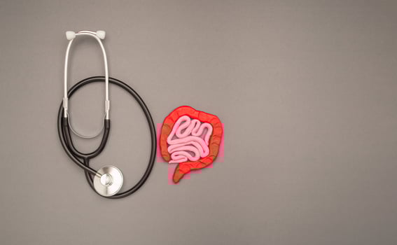 A stethoscope and large intestine shape made from plasticine over a gray background photo