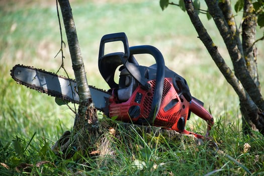 Close-up of a chainsaw working on trimming small tree amidst a vibrant green landscape on sunny day photo