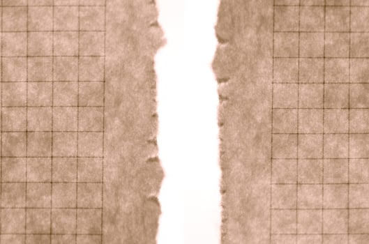 ripped paper close up photo