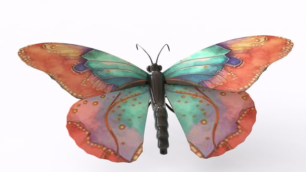 colorful butterfly with white background photo
