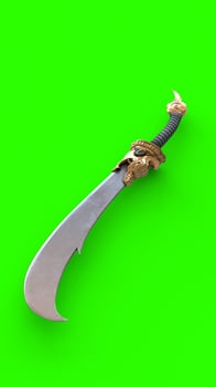 dragon sword with green background photo