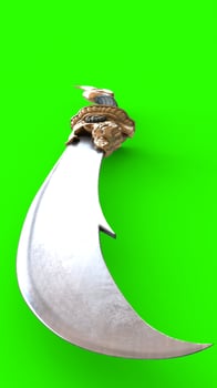 dragon sword with green background 1 photo