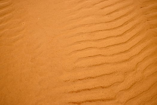 Closeup of sand ripples on a beach. Natural rhythmic wave like pattern formed by wind and water. Textured background displaying the delicate wavy texture of coastal landscape. photo