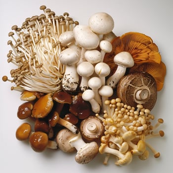A beautiful photo of an assortment of mushrooms, including shiitake and button mushrooms