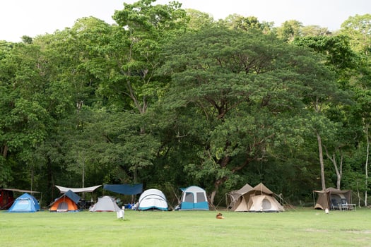 Many tent on green grassland with big tree background. photo