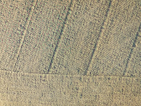 plowed corn field in eastern Colorado - aerial view photo