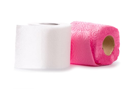 toilet paper rolls photo