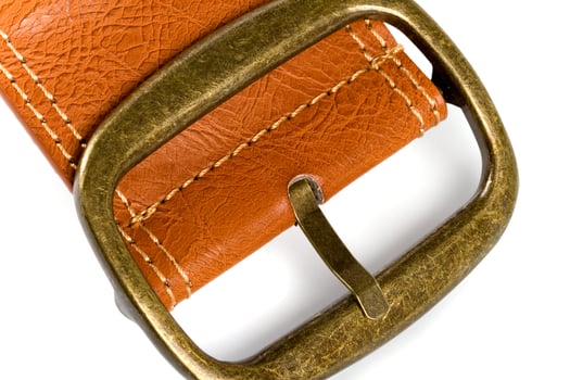 brown belt with bronze buckle photo