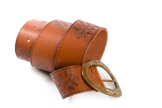 brown belt with bronze buckle photo