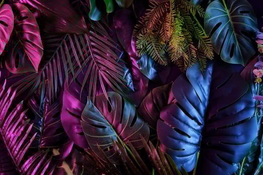 Tropical dark trend jungle in neon illuminated lighting. Exotic palms and plants in retro style. photo