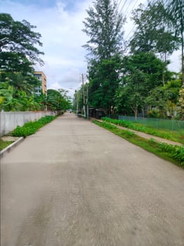 A long empty road with trees and grass photo