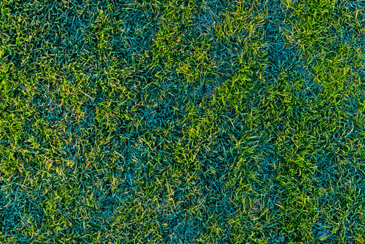 green grass lawn covered with morning hoarfrost texture photo