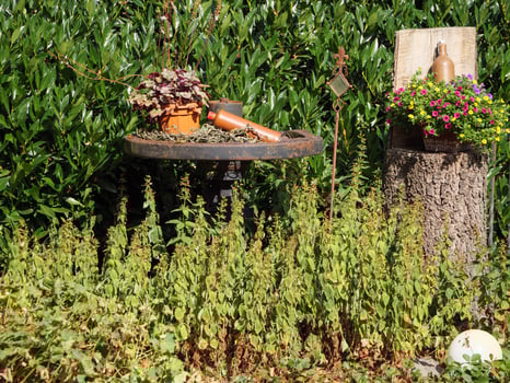 A birdbath and a bird feeder sitting on a tree stump photo