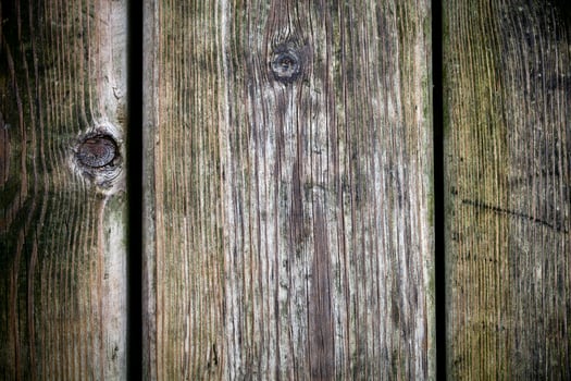 old wooden door photo