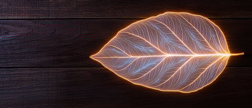 Glowing leaf on dark wooden background photo