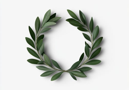 Elegant green leaf wreath on white background photo