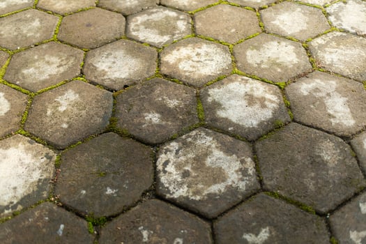 Hexagonal Stone Pavement with Moss. photo