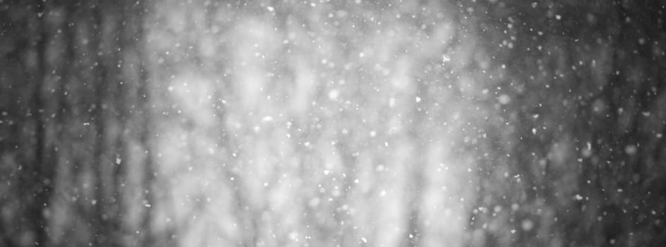 Winter blur background with snowflakes photo