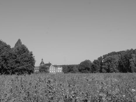 A black and white photo of a field with trees and a castle