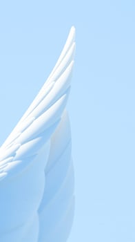 delicate white wing against a soft blue sky photo