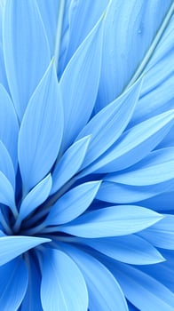 light blue flower petals close- photo
