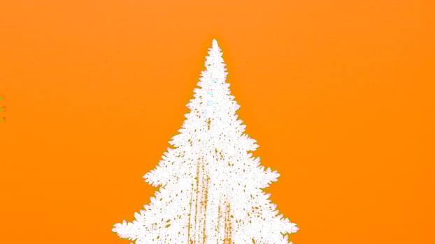 white tree silhouette on background photo