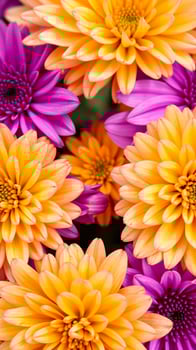 close- a vibrant yellow flower with purple petals photo