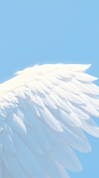 detailed view a bird's white wing against a light blue sky photo