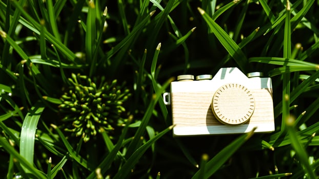 miniature wooden camera nestled green grass photo
