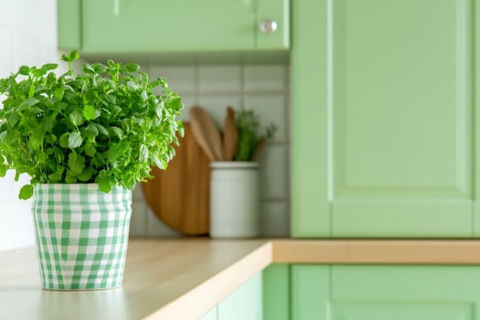 Charming retro kitchen featuring pastel green cabinets and fresh herbs in a sunlit, inviting atmosphere photo