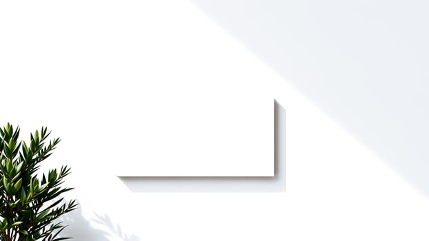 blank canvas on a white wall photo