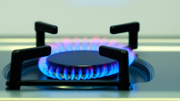 single gas burner with a blue pink flame photo