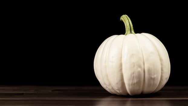 white pumpkin on a dark wooden surface photo