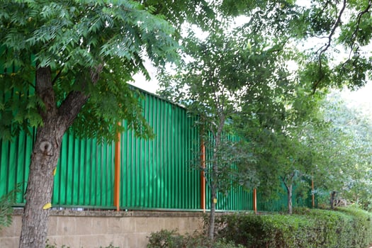 Green plants and flowers grow along the high fence photo
