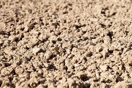 Soil texture background photo