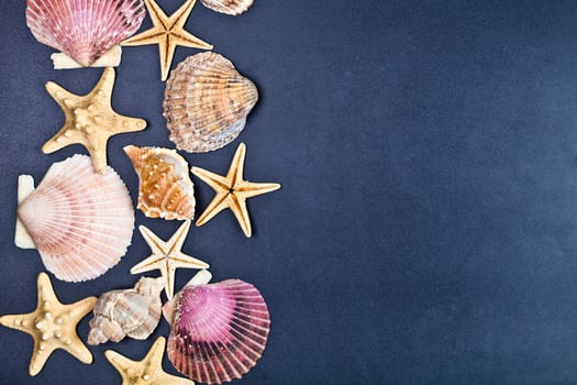 Top view of shells and starfish group on black background. photo