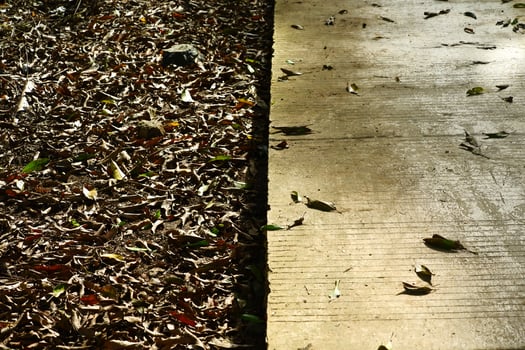 background texture of dry leaves on half of the wall photo