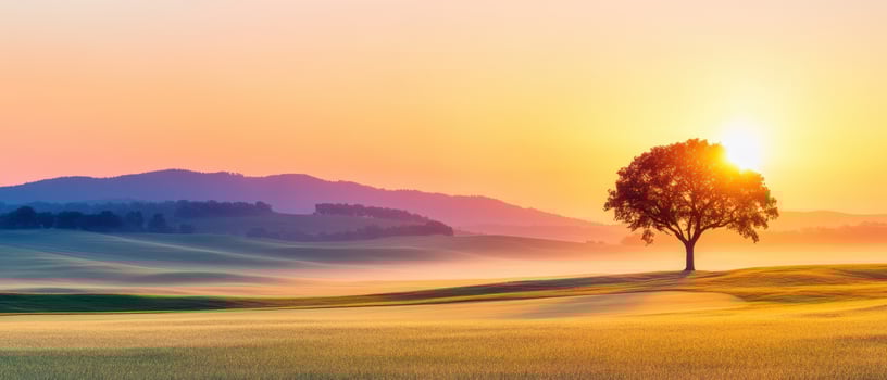 A solitary tree stands gracefully in a serene landscape at sunrise, surrounded by rolling hills and a gentle mist, creating a peaceful and breathtaking natural scene. photo