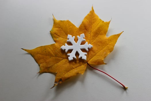 White Snowflake Figurine On A Bright Yellow Leaf On White Surface. Changing Seasons Stock Photo