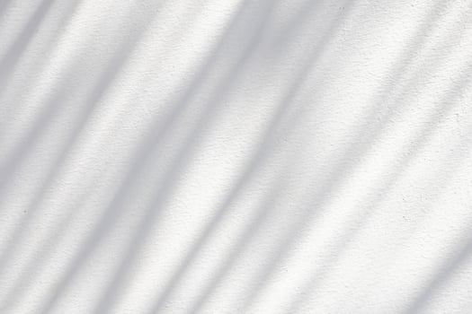 Abstract natural tree leaves shadow on white wall background photo