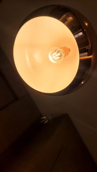 Yellow Bulb Hanging Lamp in the shop photo