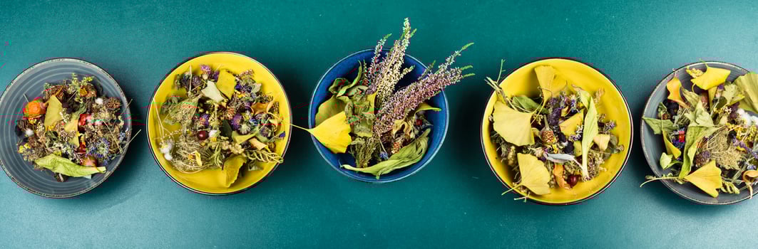 A collection of herbal plants. photo