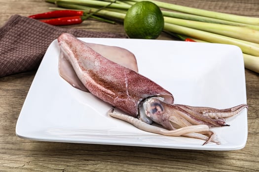 Raw fresh squid for cooking photo